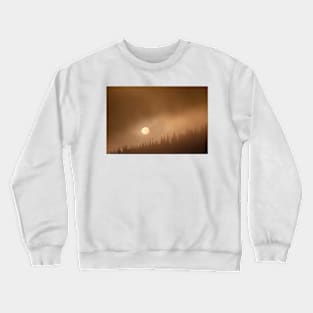 Wild Moon Crewneck Sweatshirt